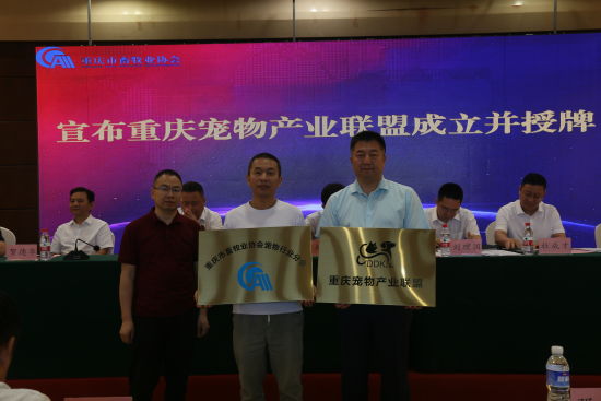 图为活动现场。活动举办方供图 图为活动现场。活动举办方供图