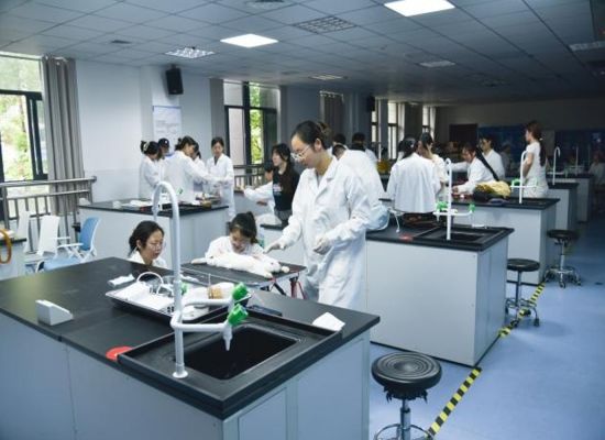 图为学生们正在实操学习。 重庆三峡职业学院供图 图为学生们正在实操学习。 重庆三峡职业学院供图