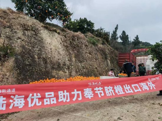 图为“陆海优品”公共服务平台助力奉节脐橙出口海外。 重庆移动 供图 图为“陆海优品”公共服务平台助力奉节脐橙出口海外。 重庆移动 供图