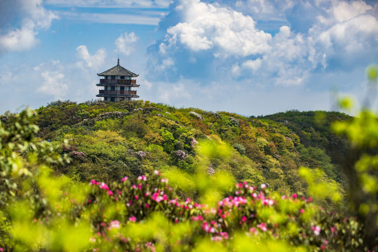 图为金佛山景区。重庆市林业局供图 图为金佛山景区。重庆市林业局供图