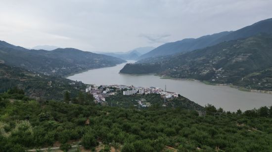 图为巫山县曲尺乡脆李园。巫山县委宣传部 供图 图为巫山县曲尺乡脆李园。巫山县委宣传部 供图