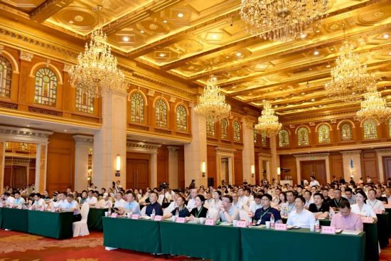 图为活动现场。桑植县委宣传部 供图 图为活动现场。桑植县委宣传部 供图