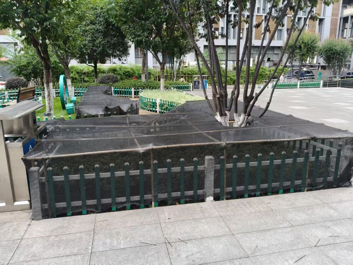 图为绿植搭设遮阳网,安全度夏。解放碑城市综合管理所供图 图为绿植搭设遮阳网,安全度夏。解放碑城市综合管理所供图
