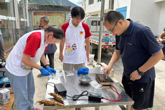 图为团队制备葛根和土壤样品。重庆工程职业技术学院供图 图为团队制备葛根和土壤样品。重庆工程职业技术学院供图