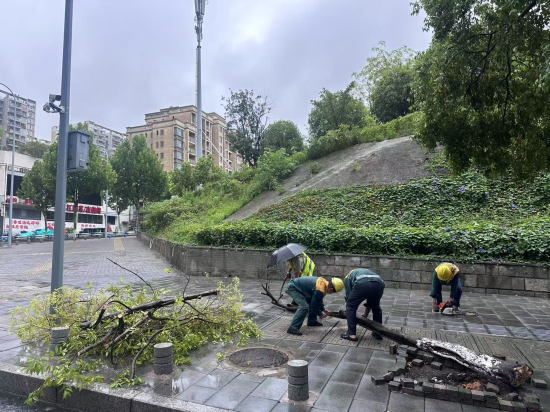 图为巡检现场。两江新区城管局供图 图为巡检现场。两江新区城管局供图