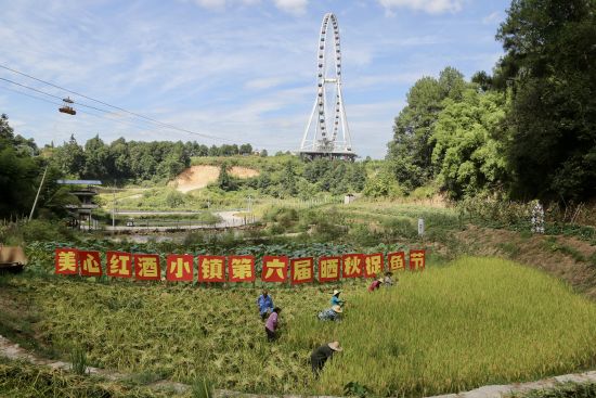 图为活动现场。涪陵美心红酒小镇 供图 图为活动现场。涪陵美心红酒小镇 供图