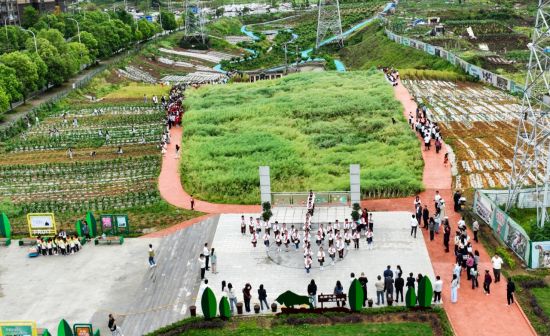 图为长寿区劳动教研活动在晶山小学开展。长寿区晶山小学 供图 图为长寿区劳动教研活动在晶山小学开展。长寿区晶山小学 供图