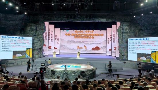 活动现场。第1眼TV-华龙网 曹先旺 摄 活动现场。第1眼TV-华龙网 曹先旺 摄