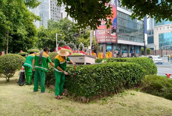 图为工作人员修剪绿化带树枝。解放碑城市综合管理所供图 图为工作人员修剪绿化带树枝。解放碑城市综合管理所供图