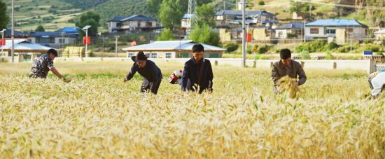 图为电影剧照。电影制片方 供图 图为电影剧照。电影制片方 供图