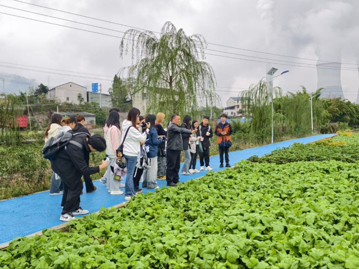图为参赛团队走进城乡一线开展实地调研。活动主办方供图 图为参赛团队走进城乡一线开展实地调研。活动主办方供图