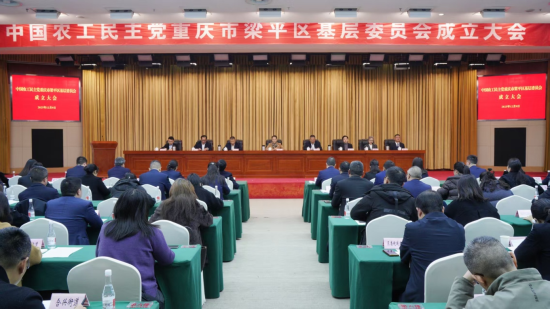 图为大会现场。 农工党重庆市委会 供图 图为大会现场。 农工党重庆市委会 供图