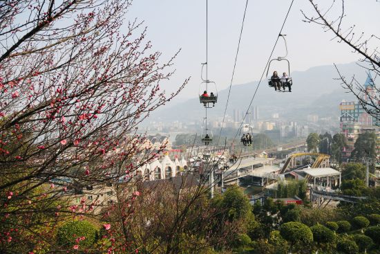 ͼΪ�ο�����������������ͼ