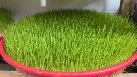 ͼΪ���硣�ǿ�����ý������ ��ͼ