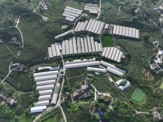 ͼΪ���������ֳ���ء��������������� ��ͼ