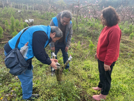 ͼΪ������(��һ)ʾ�������޼��� ������ίͳս�� ��ͼ