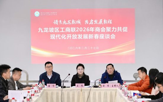 图为座谈会现场。九龙坡区工商联 供图 图为座谈会现场。九龙坡区工商联 供图