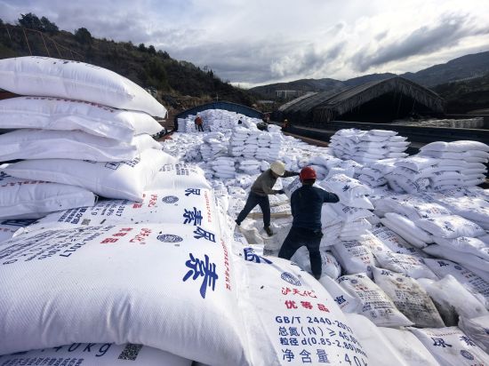 2500��ֻ���Ϊ��ɽ�ش�����������������������Ӱ�����洺