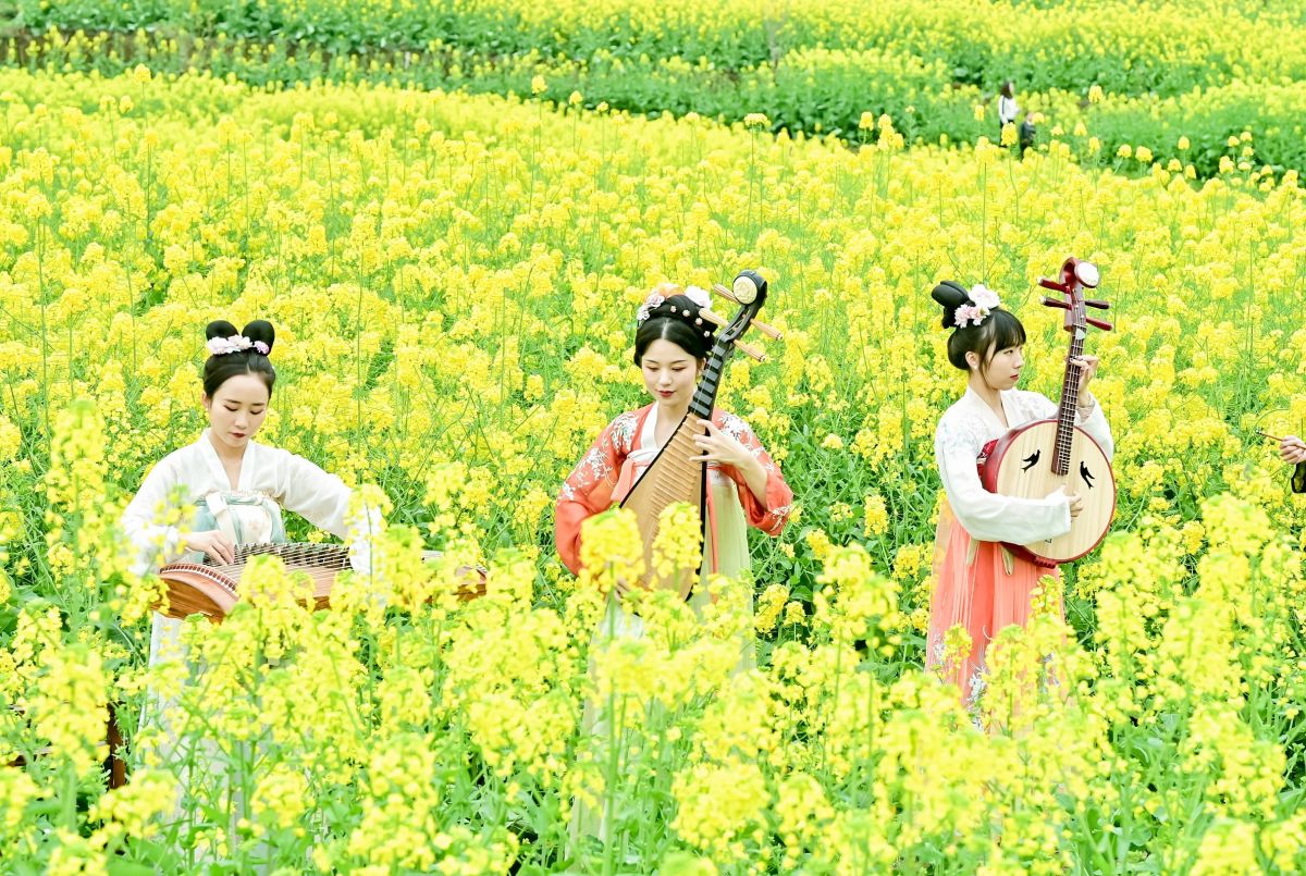 ͼΪ��¡���������Ͳ˻�ʢ������¡��ί��������ͼ