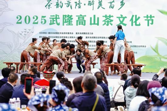 图为后坪乡举办2025武隆高山高山茶文化节。 武隆区委统战部 供图 图为后坪乡举办2025武隆高山高山茶文化节。 武隆区委统战部 供图