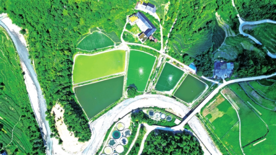 图为高山生态冷水鱼示范基地航拍图。 武隆区委统战部 供图 图为高山生态冷水鱼示范基地航拍图。 武隆区委统战部 供图