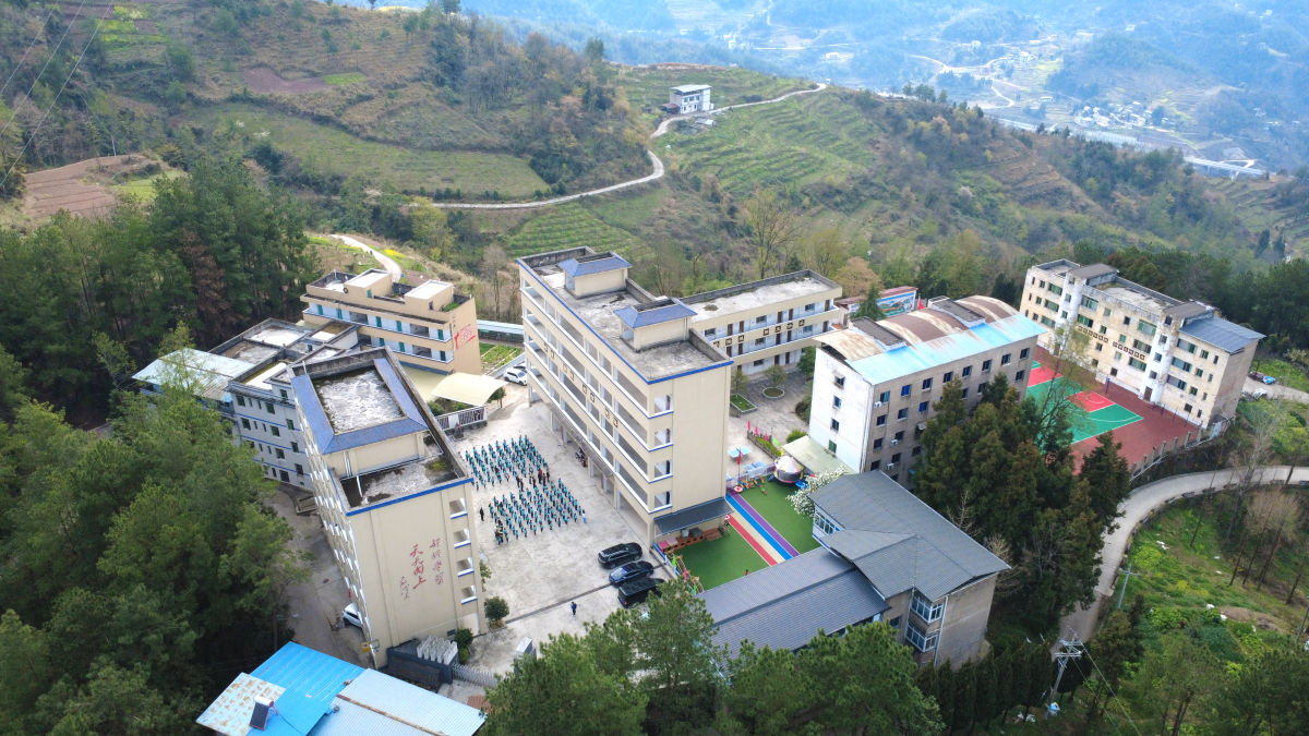 ͼΪ�������Сѧ��Ф���� ��