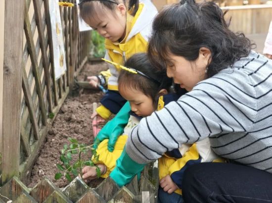 ͼΪ��ѧ�ڡ��ִ������ڡ��׶�԰��ͼ