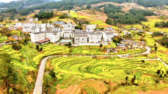 ͼΪ�����Ͳ˻��ڡ���¡��ί������ ��ͼ