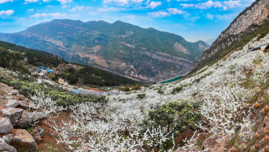 ͼΪ�����������¡��ί������ ��ͼ