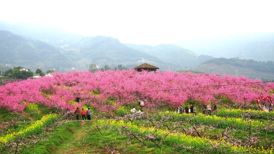 ͼΪ�����������һ�Դ���һ���ʢ����ѩ ��