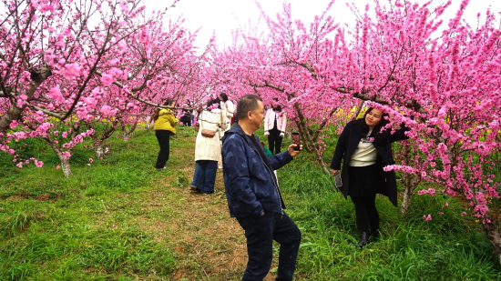 ͼΪ�һ��������档��ѩ ��