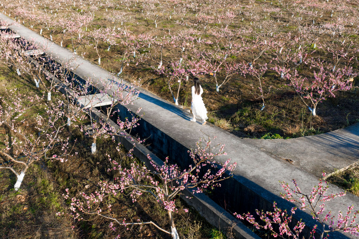 ͼΪ3��10�գ��ο��������������ͻ����档������ ��