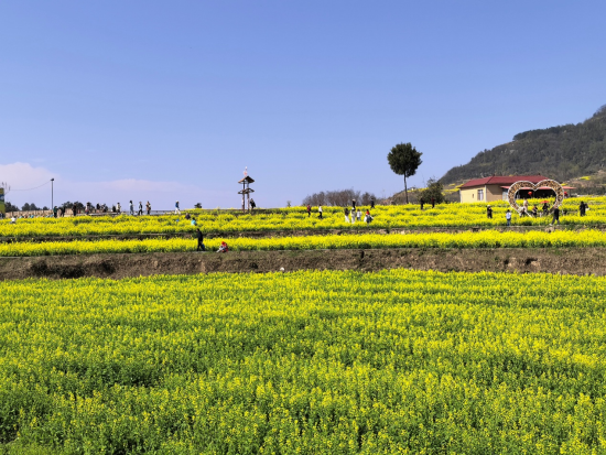 ͼΪ����ũȤ��ũ������԰������԰��⡣����� ��