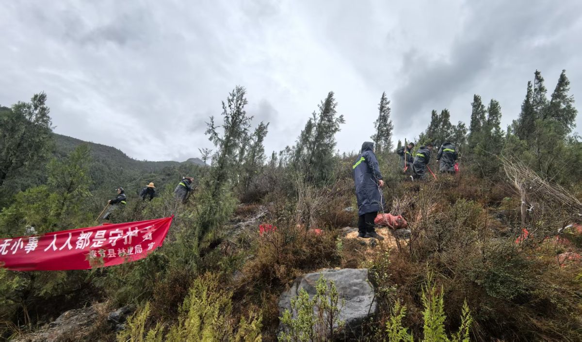 ͼΪ����У�Ѳμ�����ֲ�����������ѧ����У�ѻṩͼ