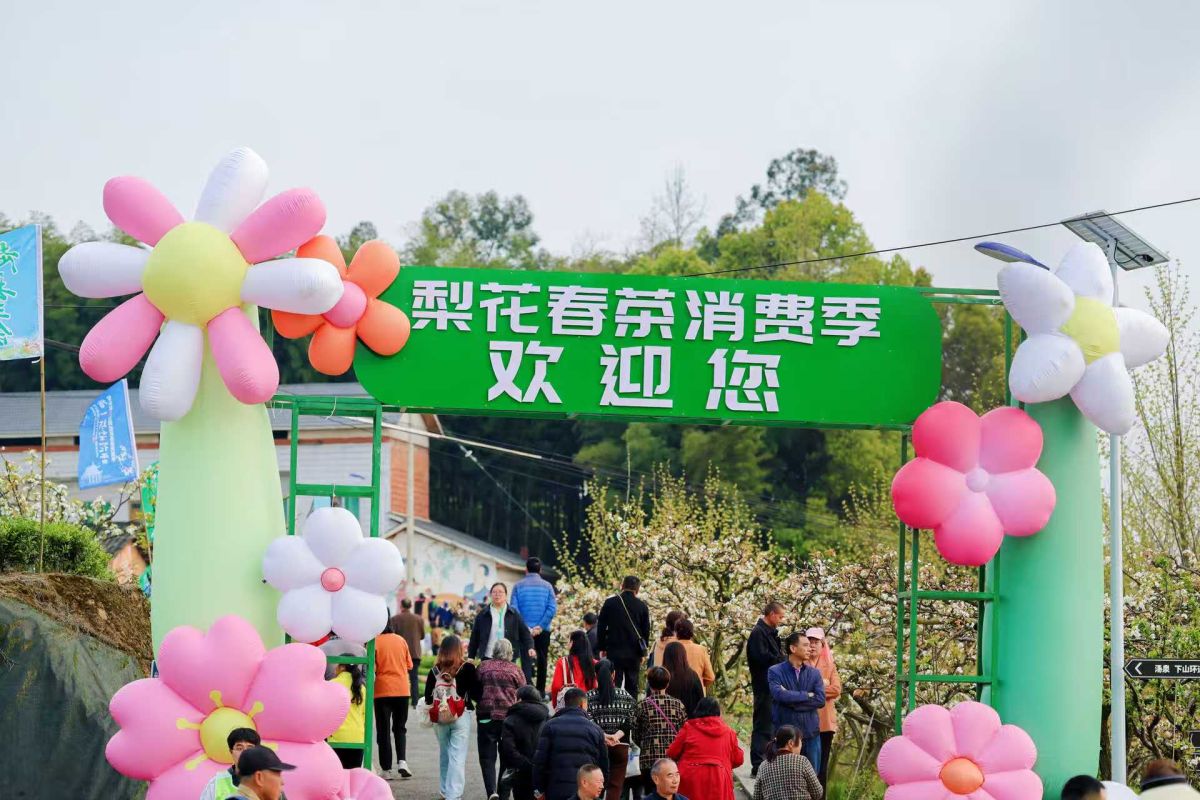 ͼΪ��ֳ������췽��ͼ