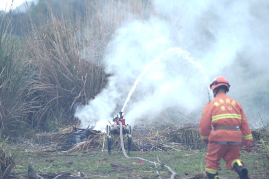 ͼΪ��ֳ�����������ҵ�ֹ�ͼ