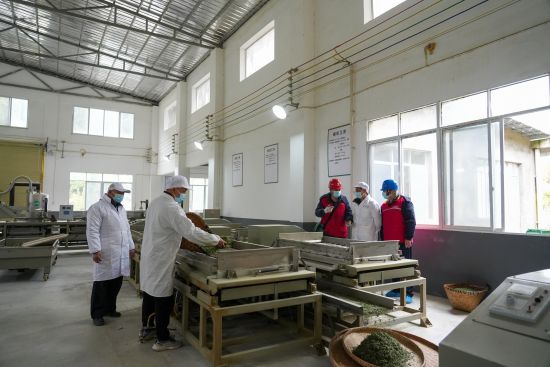 图为服务队开展“电助茶农”专项服务。国网重庆开州供电公司 供图 图为服务队开展“电助茶农”专项服务。国网重庆开州供电公司 供图