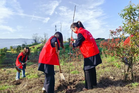 植树护绿环保行动 植树护绿环保行动