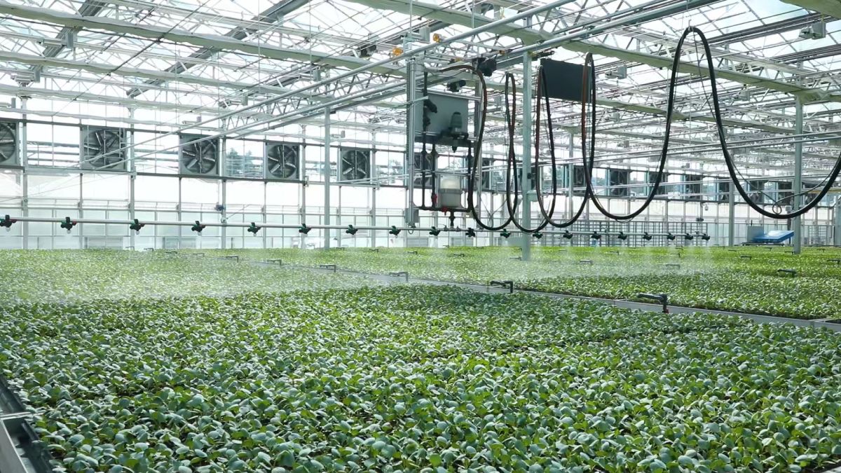 图为位于农科城的数字种苗工厂。潼南区委宣传部 供图 图为位于农科城的数字种苗工厂。潼南区委宣传部 供图