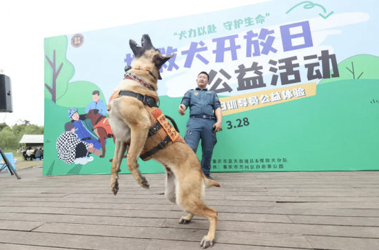 图为活动现场。主办方 供图 图为活动现场。主办方 供图