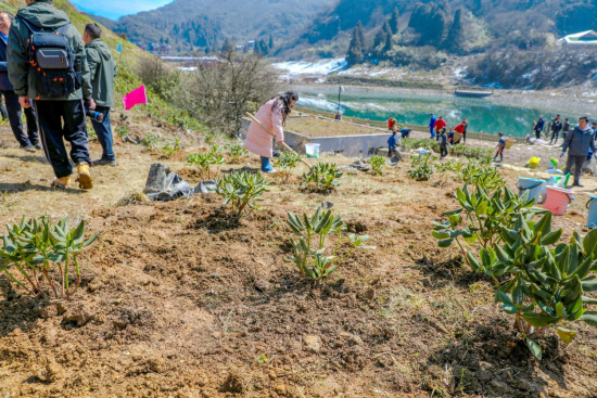 ͼΪ���ɽ��ֲ�ž黨�������ͼ