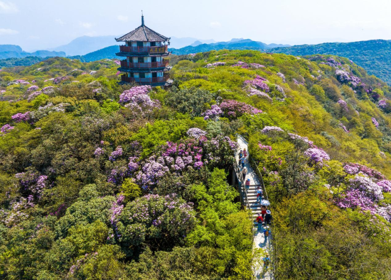 ͼΪ�ο��Ͷž黨����ͼ������ ��