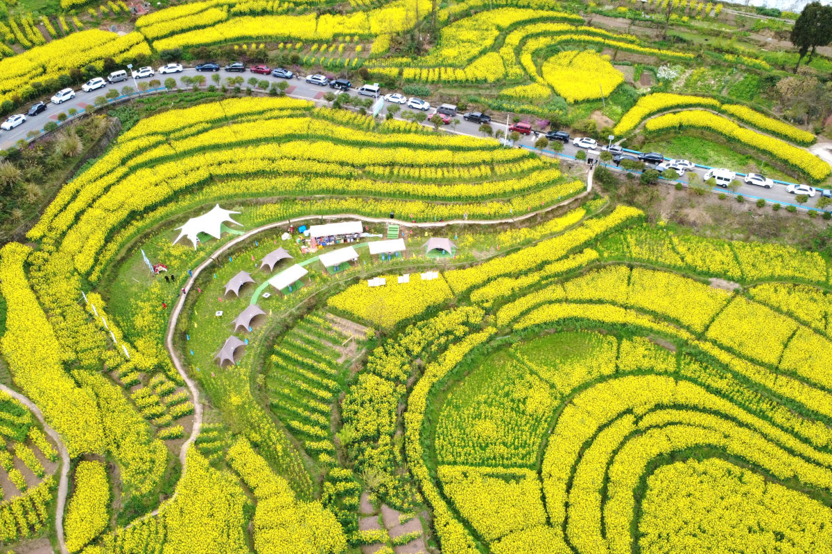 ͼΪ��¡�������Ͳ˻�ʢ����Ф���� ��