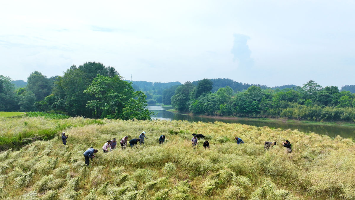 ͼΪ�Ͳ��ո��¡��������������ͼ