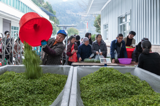 ͼΪ���������Ŷ������ࡣ�������������� ��ͼ