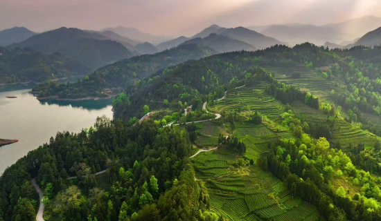 ͼΪ�������������Ҷ���� ���������������� ��ͼ