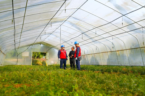 ͼΪ����Ա���ͷ������˽����õ�ע�������Ҧ�� ��