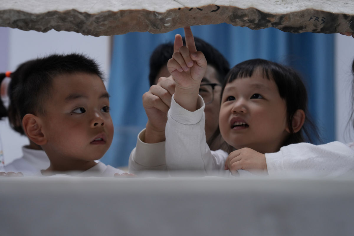 ͼΪ��ֳ������� ��