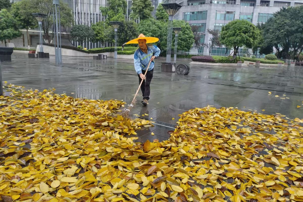 ͼΪ������Ա������ɨ��Ҷ����ű������ۺϹ�������ͼ