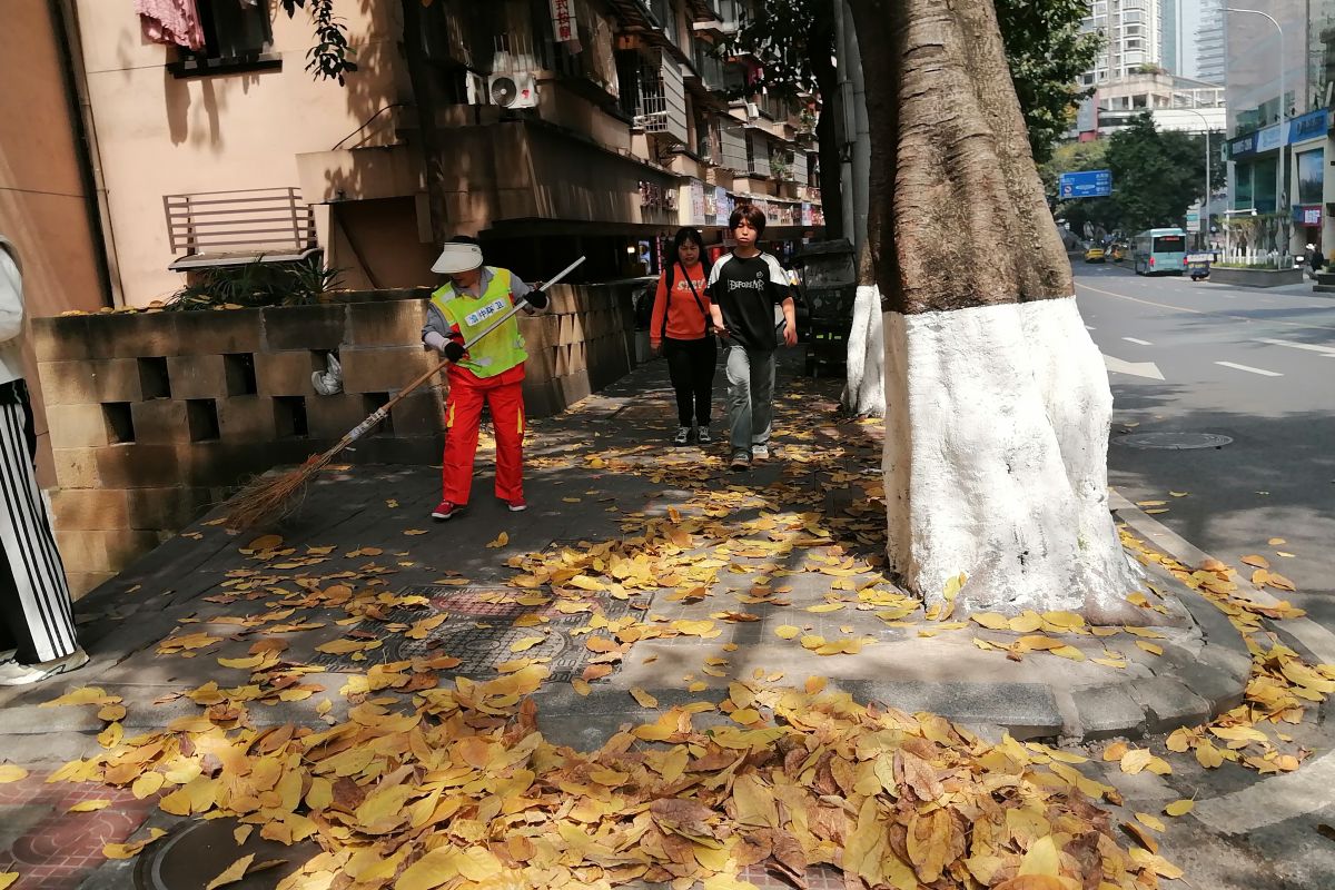 ͼΪ������Ա������ɨ��Ҷ����ű������ۺϹ�������ͼ